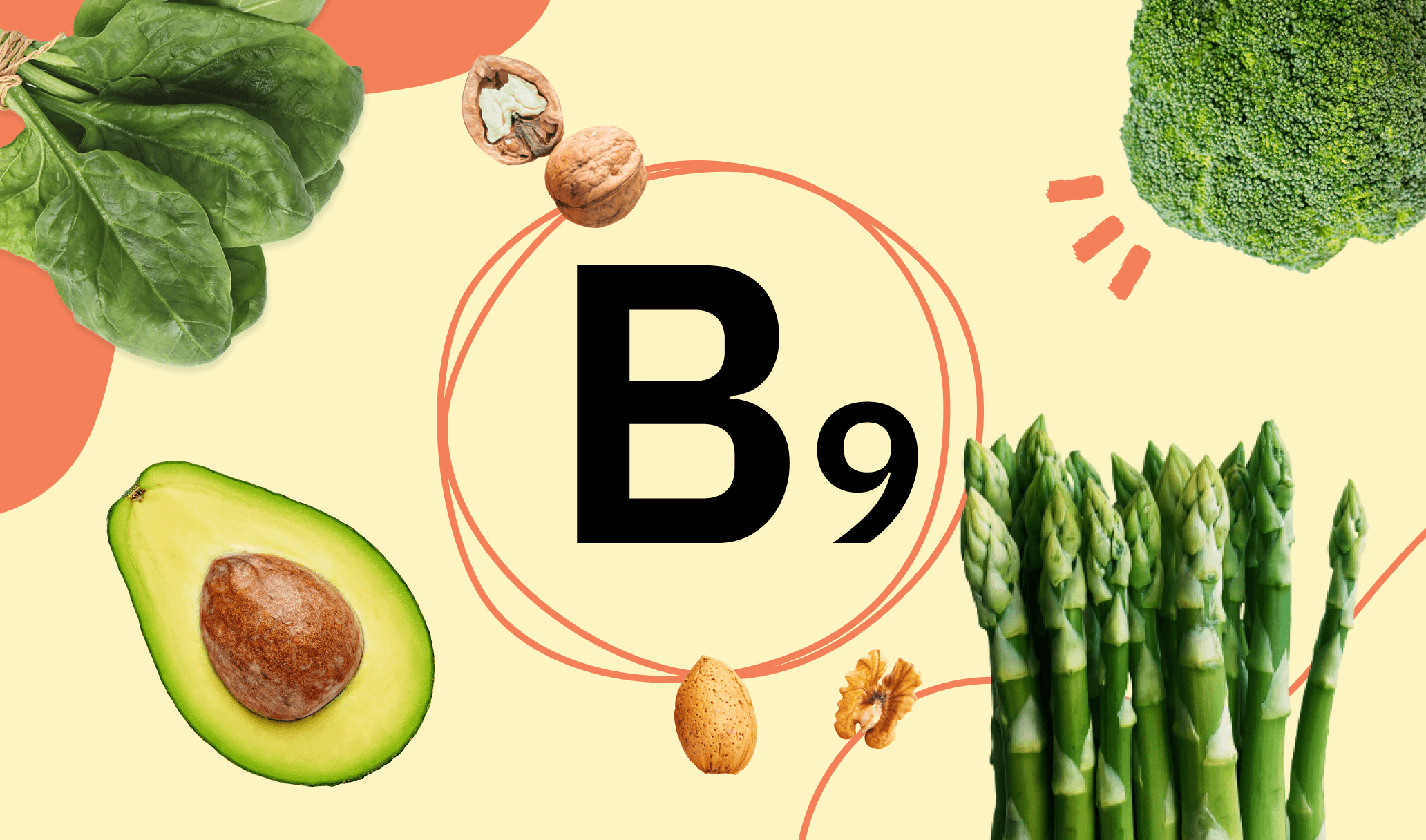 B9 can be found in vegetables and rice